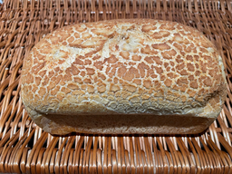 TIJGERBROOD WIT