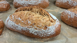 WITLOVBROOD